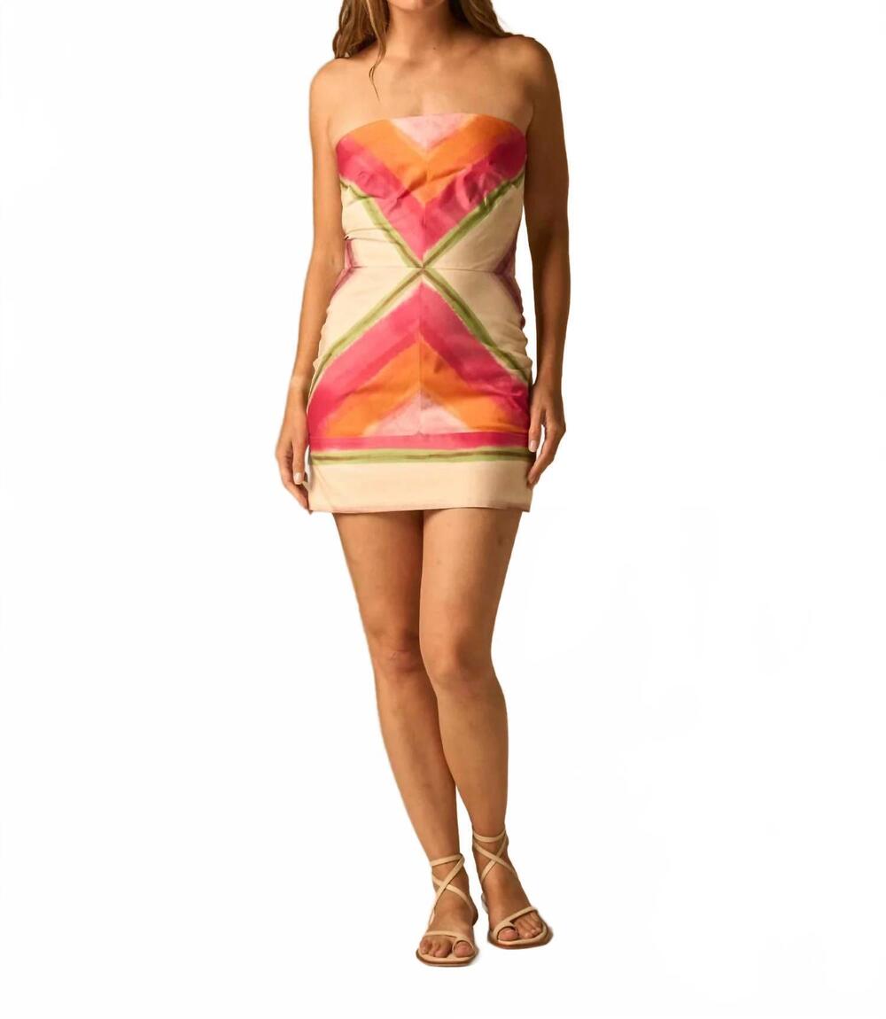 NEW JUST BEE QUEEN sofia mini dress in pink multi